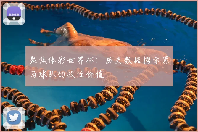 聚焦体彩世界杯：历史数据揭示黑马球队的投注价值