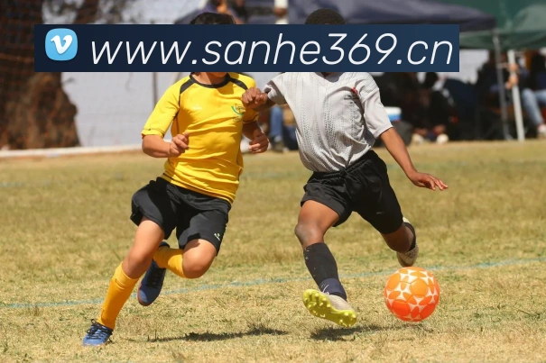 App Interface Preview